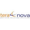 Logo Teranova Consulting Group, Inc.